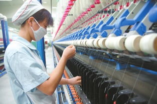 河南邓州建立三大产业集群完整产业链